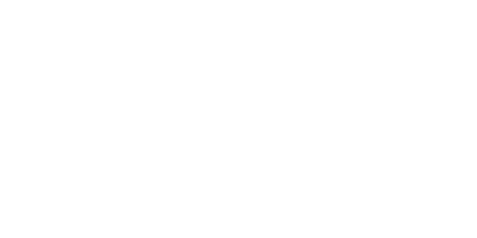 FORAS GmbH