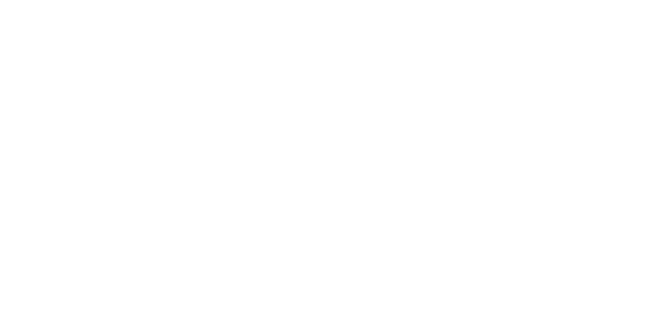 Hofmeister & Meincke SE